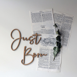 ◉送料込◉木製 Just Born ウッドレター⑵ ニューボーンフォト　新生児