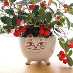 ネコ植木鉢　グレーA