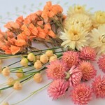 【ドライフラワー黄色・オレンジ系】千日紅・貝細工他