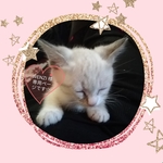 WENZI  様専用ページです☆