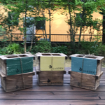 木製小物入れ(小)  2個セット