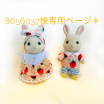 8656037様専用ページ＊