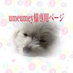 こちらは専用ページとなります