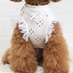 犬服♡チュールフリル♡