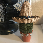 枯れないサボテン🌵