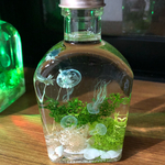 水槽ハーバリウム クラゲ 