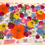 ♡new♡  ♡可愛い押し花セット♡ ♡たくさん入って使いやすい押し花セット♡