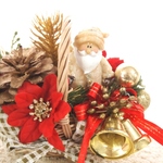 クリスマスが待ち遠しい花かごアレンジSP