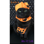 ハロウィンシュシュ、猫ちゃんの首輪