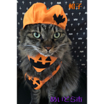 ハロウィンかぼちゃ帽子、猫ちゃんの首輪