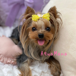 【 犬用　バレッタ 】 おしゃれ　トップノットペット　子供　ヘアアクセサリー　リボン　バレッタ　♡AquaMana♡