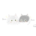 専用ページ