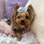 【 犬用　バレッタ 】 おしゃれ　トップノットペット　子供　ヘアアクセサリー　リボン　バレッタ　♡AquaMana♡