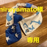 miruyamato様　専用　cocochanネクタイチョーカーNEO　