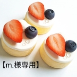 【m.様専用】