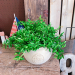 ラスト！新作♡レア！【フィカス　アヌーク】オシャレな観葉植物♡素敵なクリーム色陶器鉢♡ナチュラルグリーン