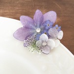 kushipino様　ご予約品