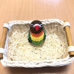 yuriさま専用♡ボタンインコちゃん（ルリコシボタン）&ひまわりちゃん