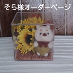 そら様オーダーページ