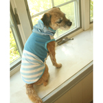 犬服 ひんやりクール！濡らすと、もっとひんやり！+防蚊服水色ボーダー×水色の水玉