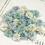 かすみ草　ドライフラワー　pail blue mix
