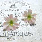 小さな秋桜（大）のピアス・イヤリング