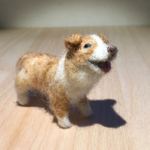 フェルト犬　ボーダーコリー　レッドさん　<MW295>