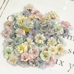 お楽しみランダム♡かすみ草　ドライフラワー　pastel vol.4