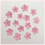 天然押し花素材　No.1