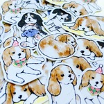 【1/2再販】キャバリアわんこシール