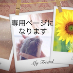 専用ページになります。