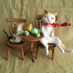 カフェの猫