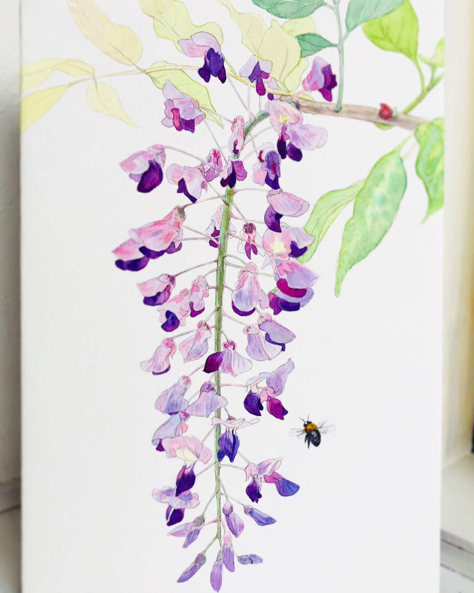 水彩画ぬり絵キット『藤の花に蜂』ぬり方手順の説明書付き - コロ