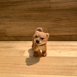 柴犬の子　子犬