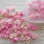 ★ピンク＆白カラー　ドライフラワー　　★