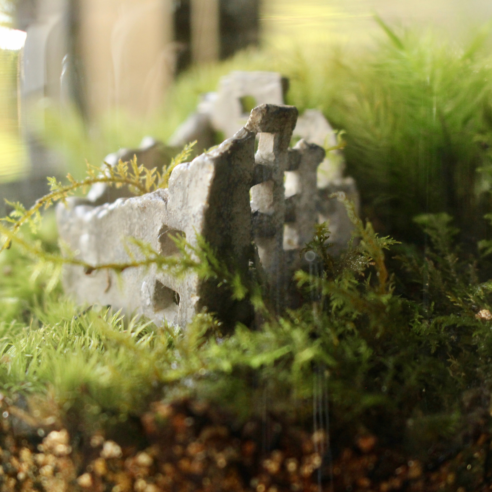 森の中の廃墟 - moss with still life | minne byGMOペパボ 国内最大級