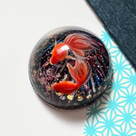 花火の金魚ドーム～5色ラメ