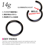 14Ｇ　内径１０ｍｍ　進化したセグメントリング　ボディピアス　ＴＢＰ０７２　ＢＫ