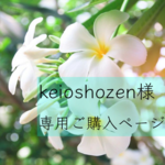 ☆keioshozen様☆専用ご購入ページ☆