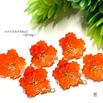 ハイビスカス*hibiscus* Gカン付き オレンジ