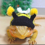 ミツバチの着ぐるみ