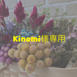 Kinomi様専用ページ
