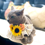 フリルレースチョーカー(向日葵🌻)