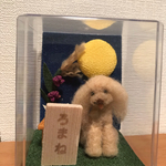 y様ご予約品9月お飾り