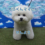 そらくんママさん専用ページ