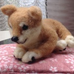 X様専用 小さい柴犬
