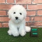 ビションフリーゼ子犬ふわふわ縫いぐるみ