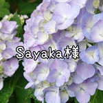 Sayaka様専用