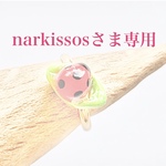 narkissosさま専用