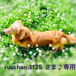 ruuchan1125さま♪専用ページ